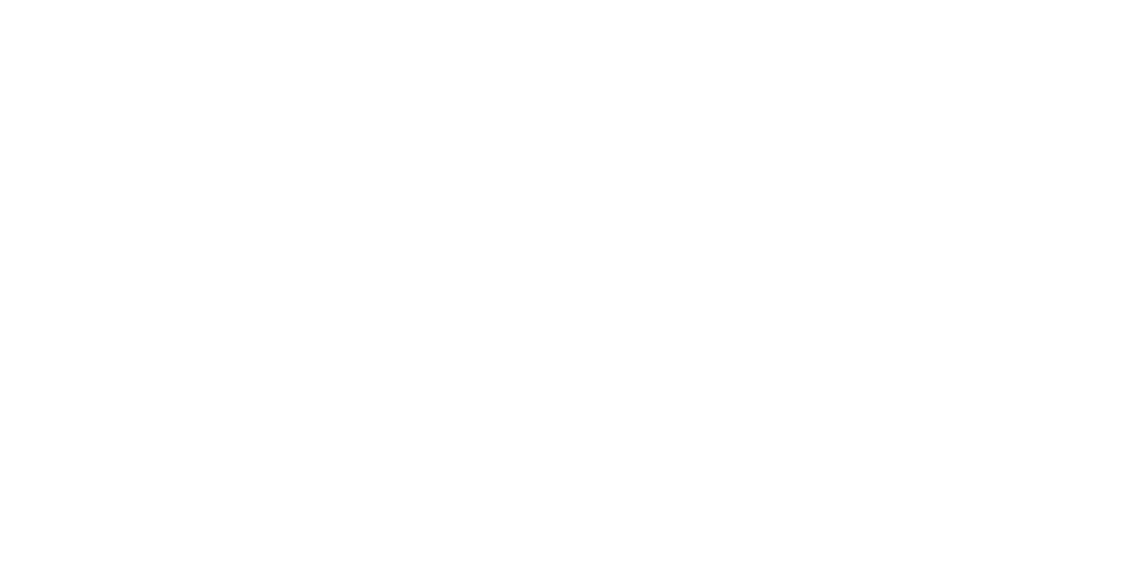 忍者土産専門店 伊賀の京丸屋